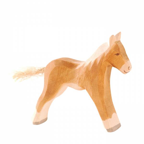 Haflinger Fohlen